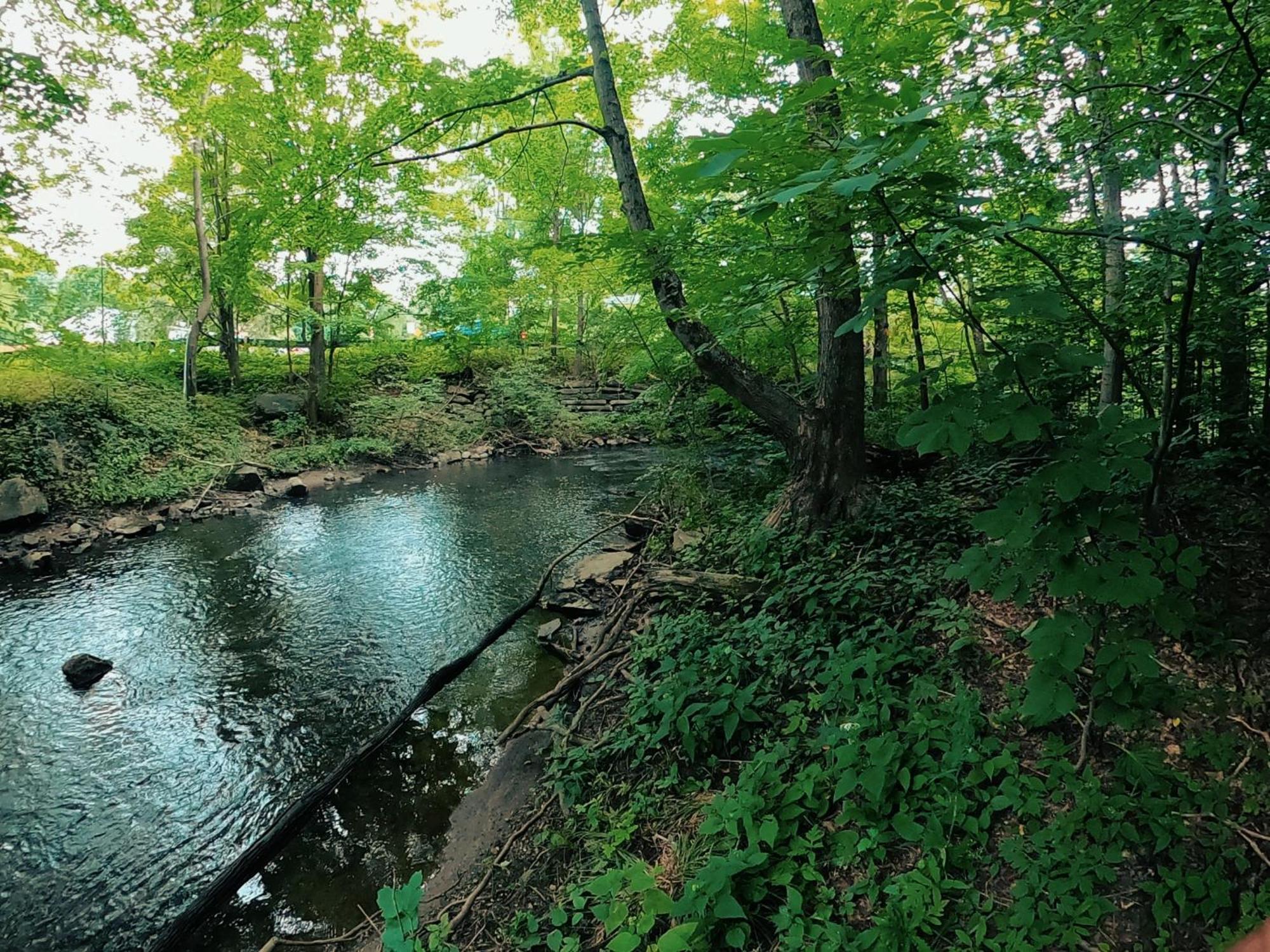 Heart Of The Berkshires Motel พิตส์ฟิลด์ ภายนอก รูปภาพ